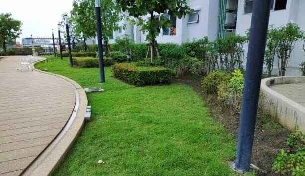 รูปภาพห้อง ศุภาลัย ปาร์ค ราชพฤกษ์ - เพชรเกษม